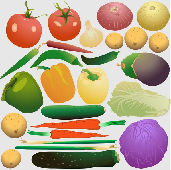 Conjunto de legumes frescos — Vetor de Stock