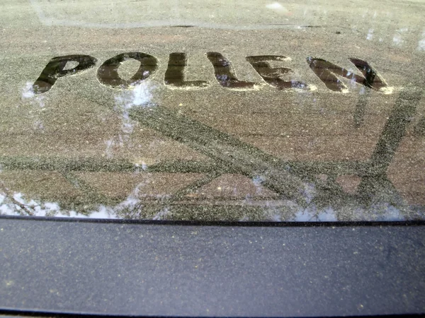 Pollen covered table — Stock Photo, Image