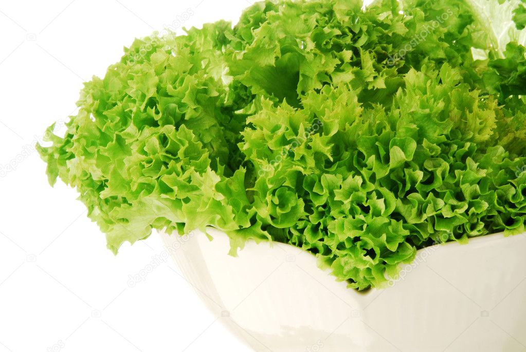 Fresh lettuce in detail