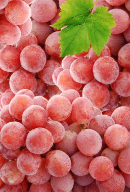 Pink grapes background clipart