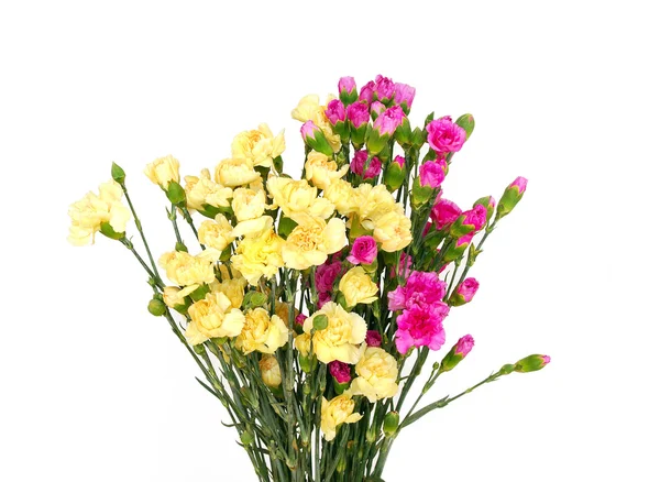 Bunch of carnations — Stock Photo, Image