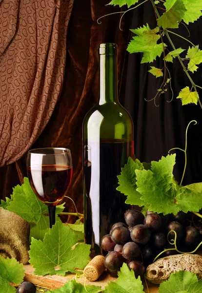 Červené víno uspořádání — Stock fotografie
