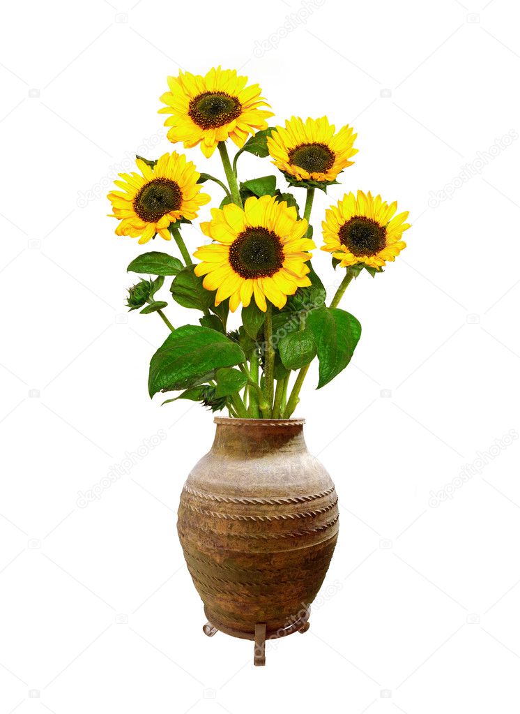 Antique vase with sunflowers