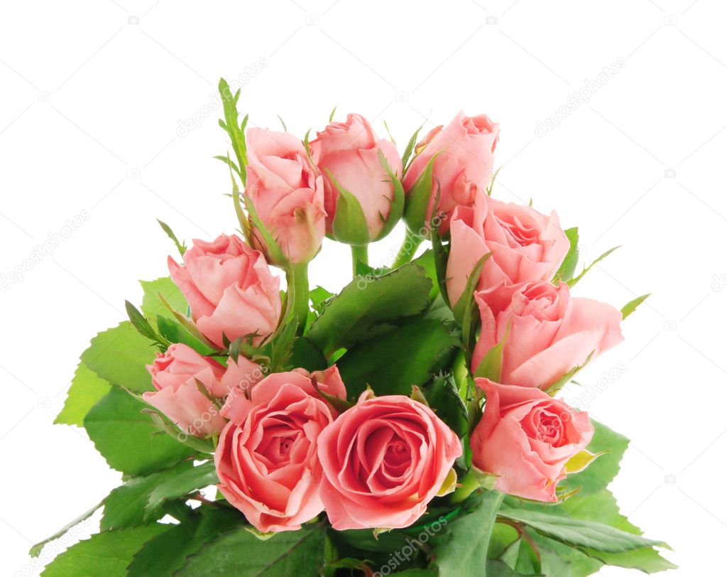 Pink bunch of roses — Stock Photo © Miiisha #2814246