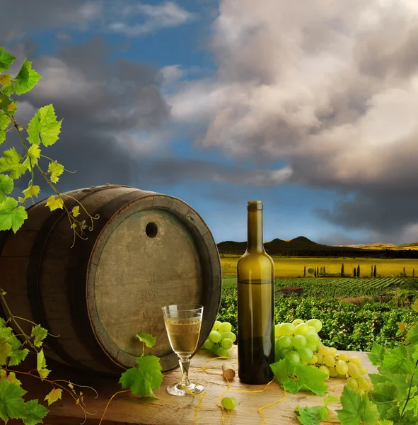 Вино натюрморт и виноградник — стоковое фото