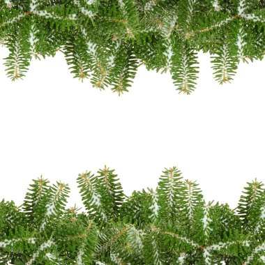 Frame with pine branches clipart