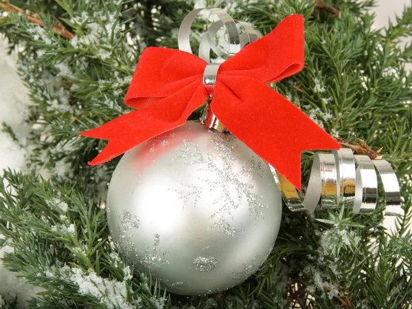 Гілка з різдвяним м'ячем — стокове фото