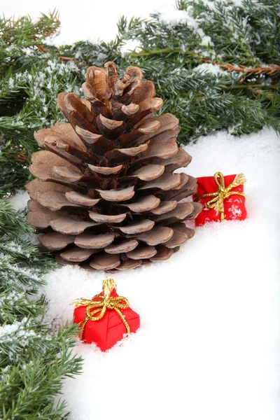 Ramo di pino con cono e confezioni regalo — Foto Stock