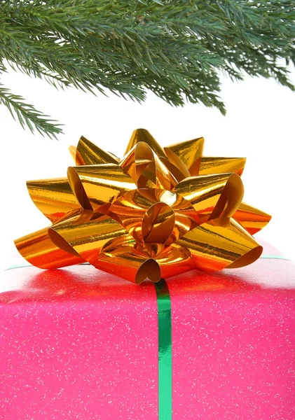 Gift under christmas tree — Stock Photo, Image