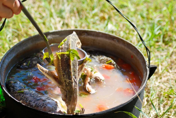 stock image Fish soup