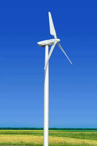 Pradera verde con turbina eólica — Foto de Stock