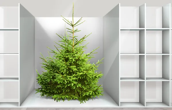 Árbol de Navidad en el estante — Foto de Stock