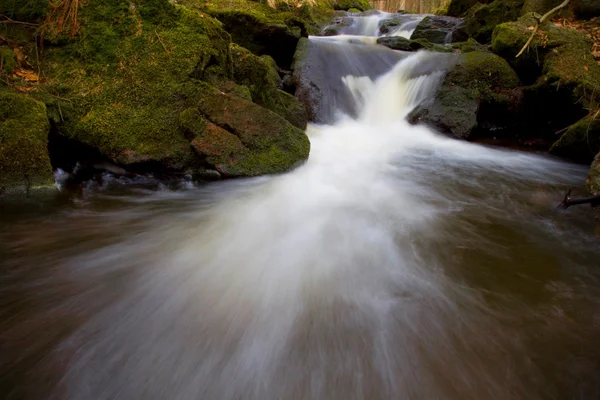 Potok Las, czyste środowisko — Zdjęcie stockowe