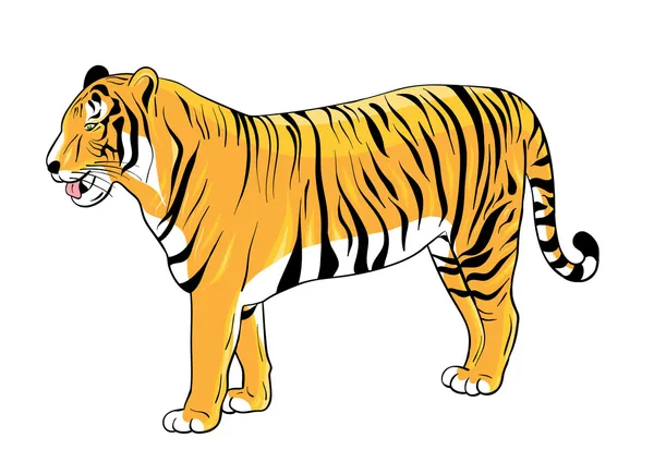 Tiger — Stock Vector