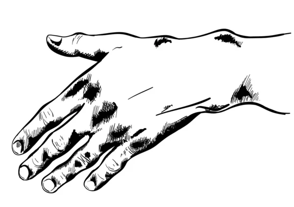 Ręka — Wektor stockowy