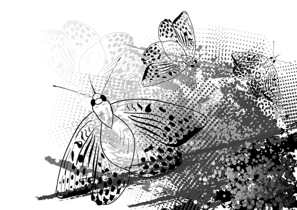 黑蛾 — 图库矢量图片