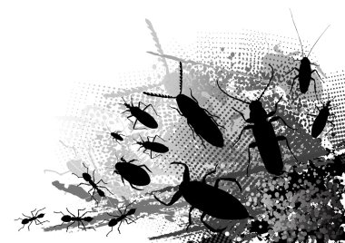 Insect clipart