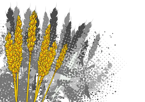 Kukurydza — Wektor stockowy