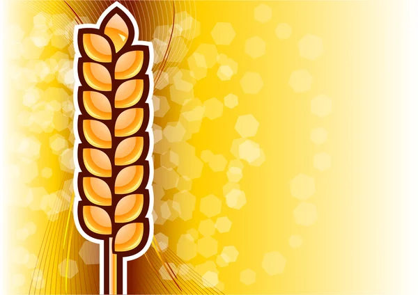 Gold corn — Stock Vector