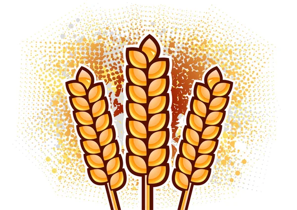 Corn — Stock Vector