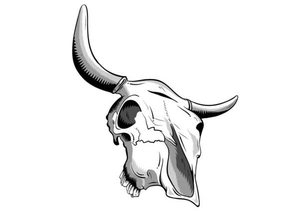 Cranio animale — Vettoriale Stock
