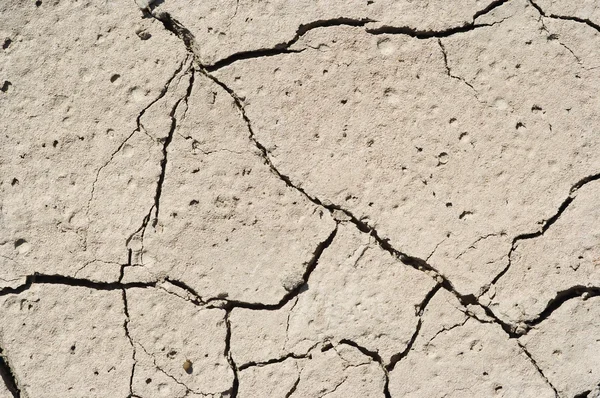Aride - getrockneter Boden — Stockfoto