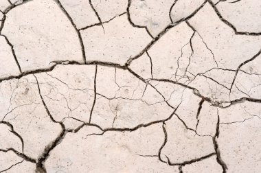 Parched earth - dried ground clipart