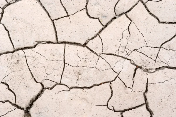 Kavrulmuş toprak - kurutulmuş zemin — Stok fotoğraf