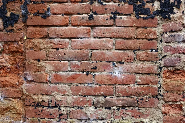 Old grunge wall — Stock Photo, Image