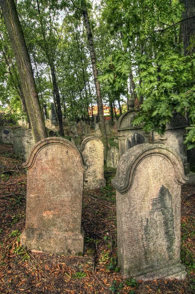 Yahudi Mezarlığı — Stok fotoğraf