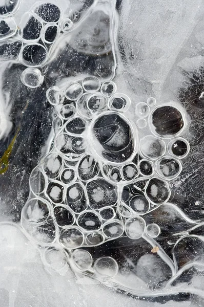 Burbuja de aire congelada — Foto de Stock