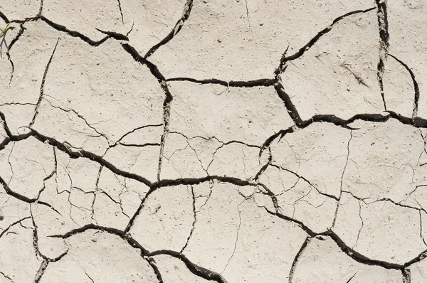 Terreno seco —  Fotos de Stock