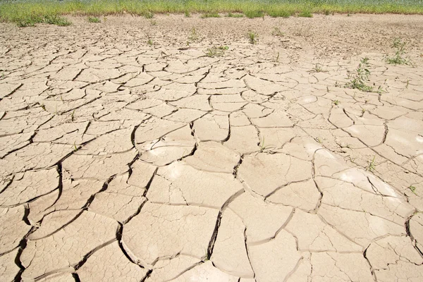 Temporada seca - tierra seca — Foto de Stock