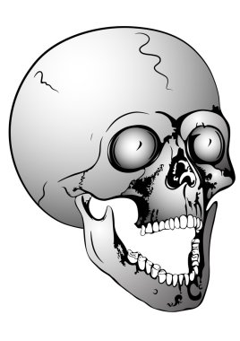 Scull clipart