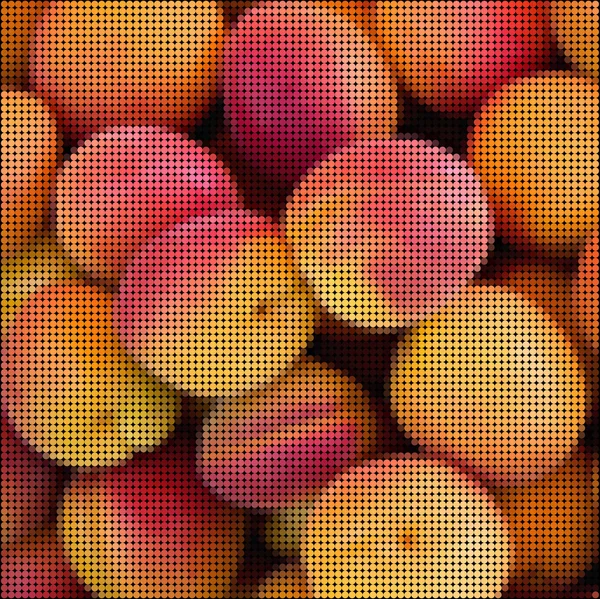 Pixel apricots — Stock Vector