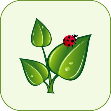 Green leaves with ladybug. Vector clipart