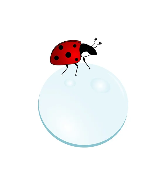 Ladybug on a bubble — Stock Vector