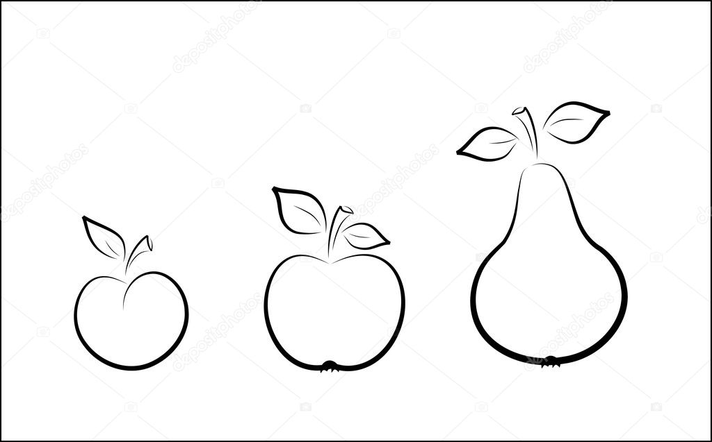 Vector plum, apple and pear