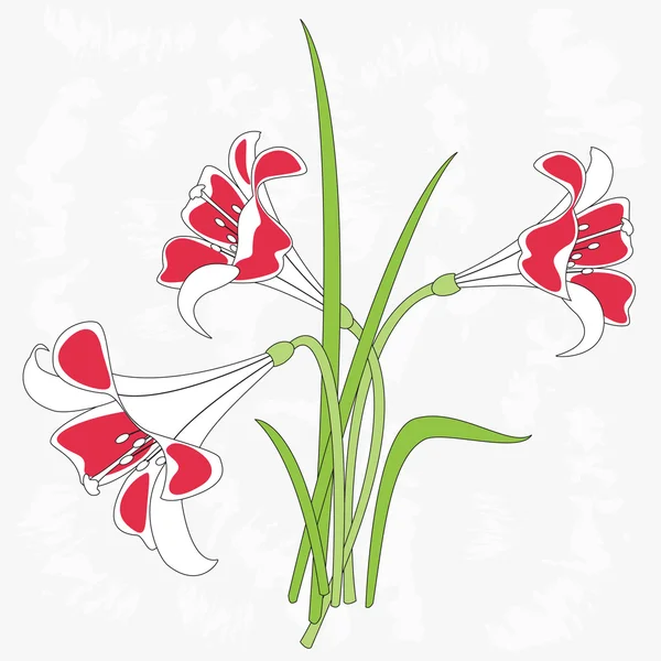 Vektorillustration der Lilien — Stockvektor