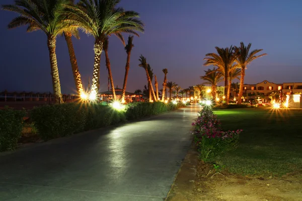 Caminhe lado sob palmeiras à noite — Fotografia de Stock