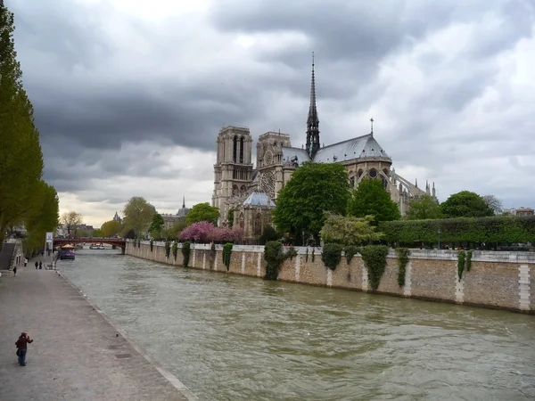 Stock image Notre Dame in Paris