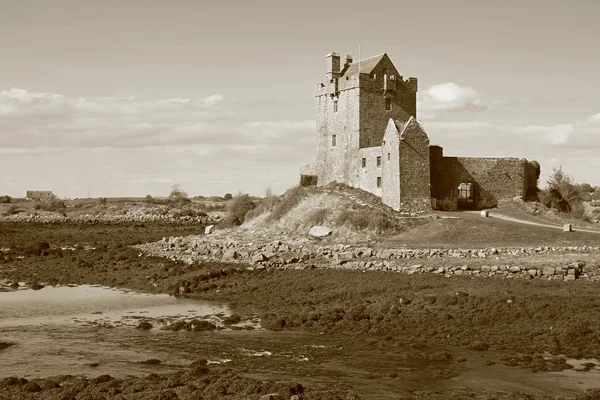 Castelo de Dunguaire na Irlanda — Fotografia de Stock