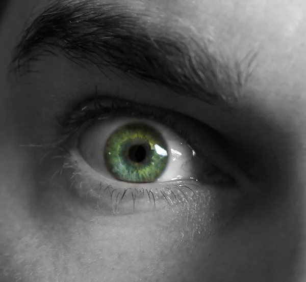 Korkunç yeşil göz — Stok fotoğraf