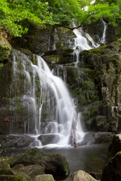 Torc waterfall in Ireland — Stock Photo, Image