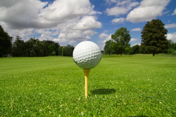 Palla da golf sul campo — Foto Stock