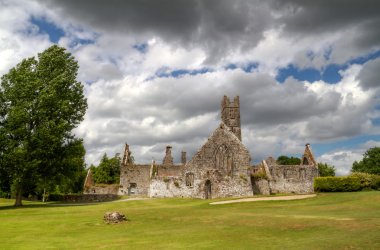 Adare Abbey in Ireland clipart