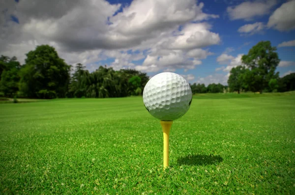 Поле для гольфа с видом на мяч — стоковое фото