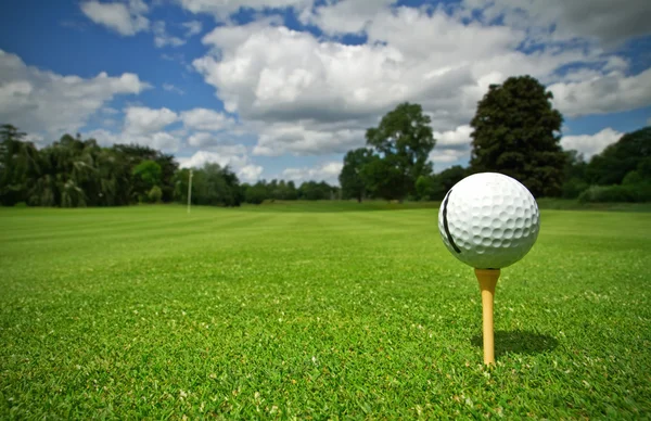 Поле для гольфа с видом на мяч — стоковое фото