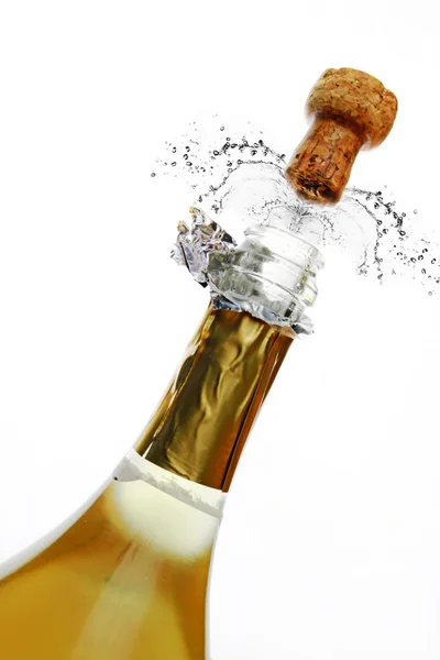 Botella de Champán — Foto de Stock