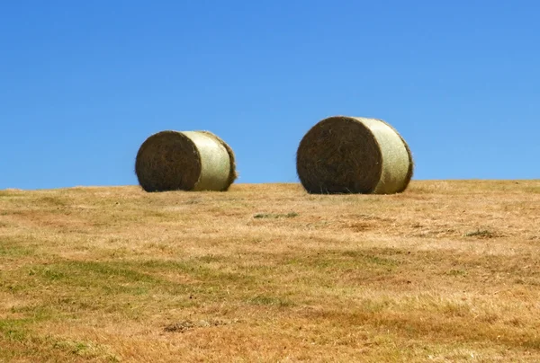 Hay тюків — стокове фото